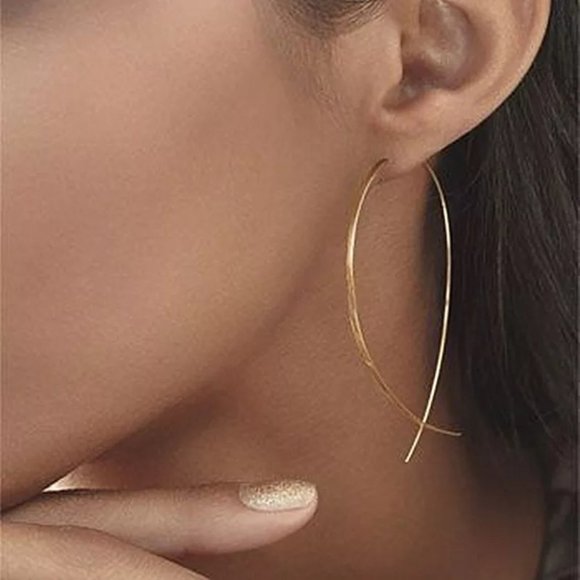 undefined Jewelry - Statement Simplicity Handmade Fish Earnings